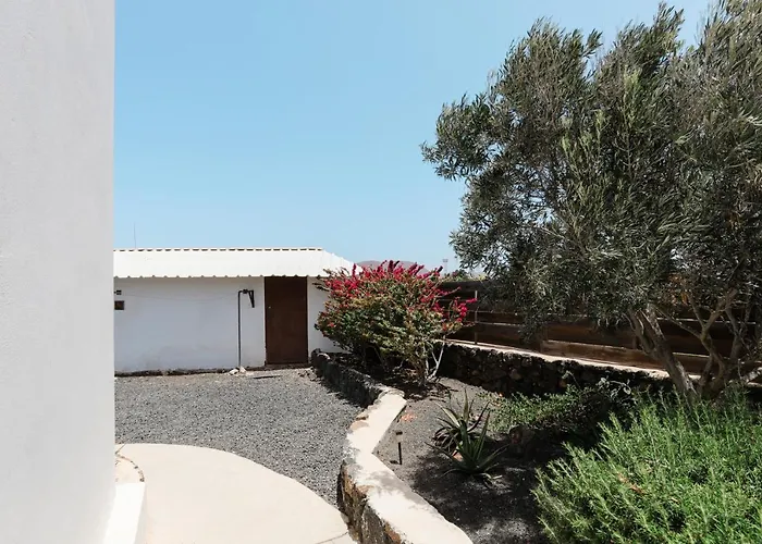 Creative Harbour Fuerteventura Hotell *