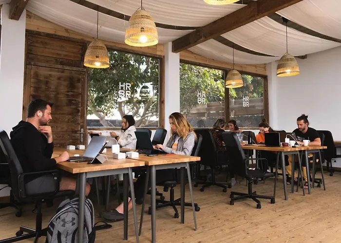 Creative Harbour Fuerteventura 호텔