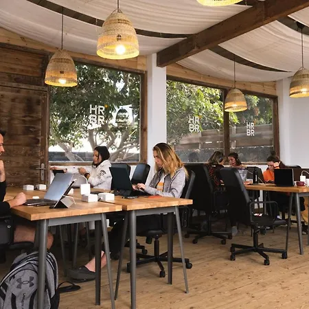 Creative Harbour Fuerteventura فندق